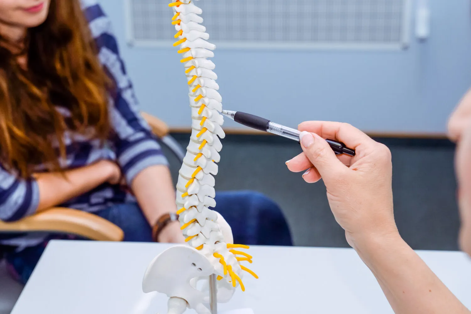 Spine model